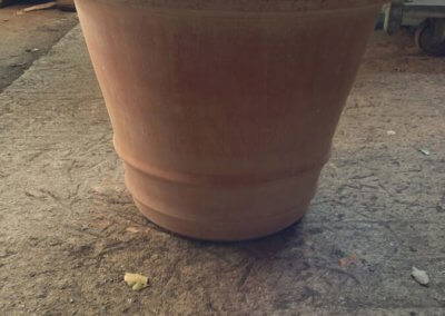 Terracotta Pot